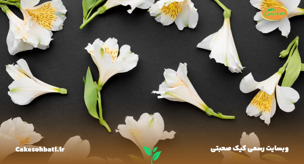 چند شاخه گل وانیل که بر روی یک صفحه سیاه پراکنده شدهاند.